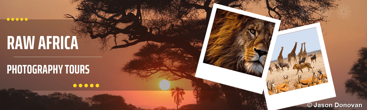 Raw Africa Tours