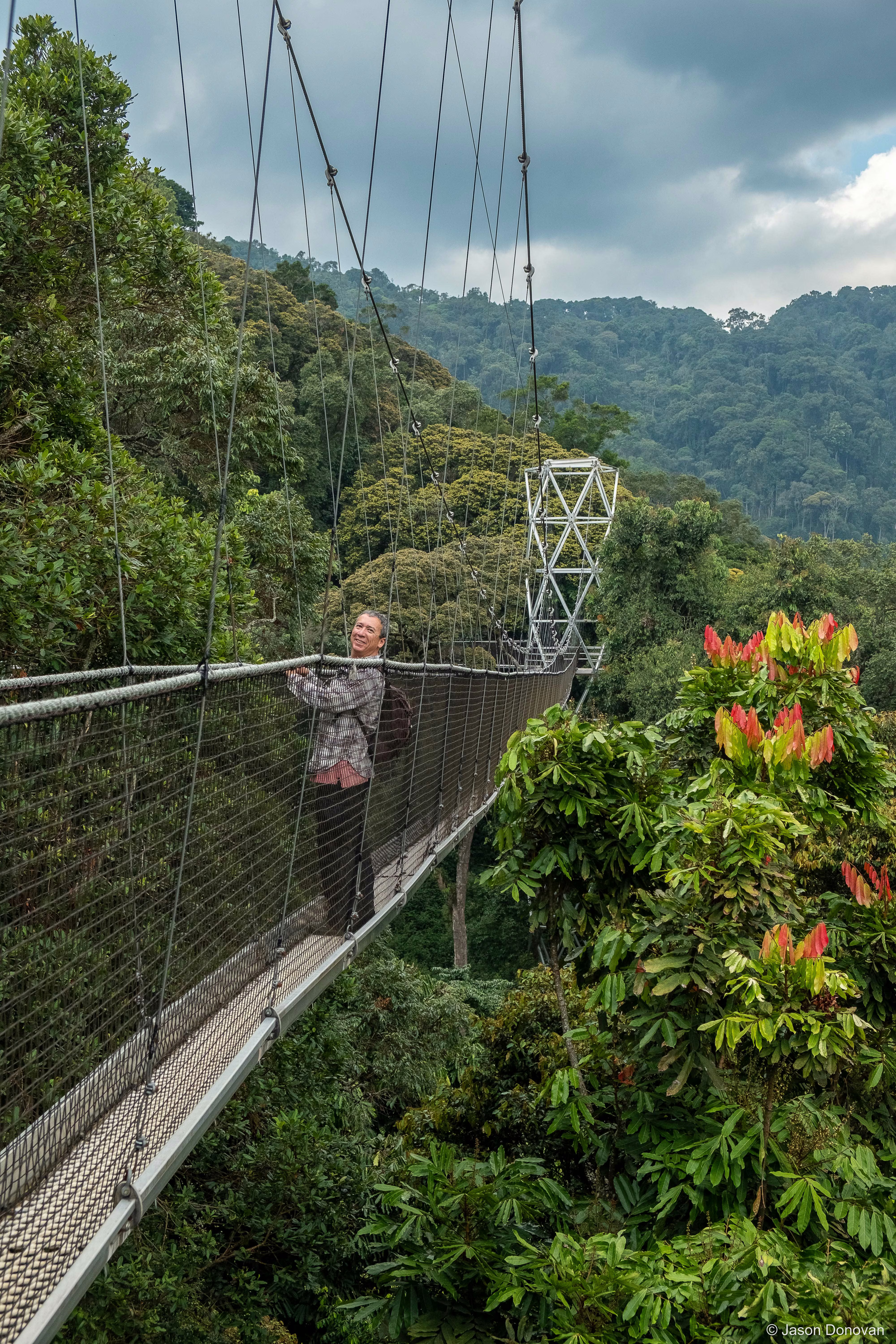 Canopy walk Nyungwe Rwanda photography by Jason Donovan