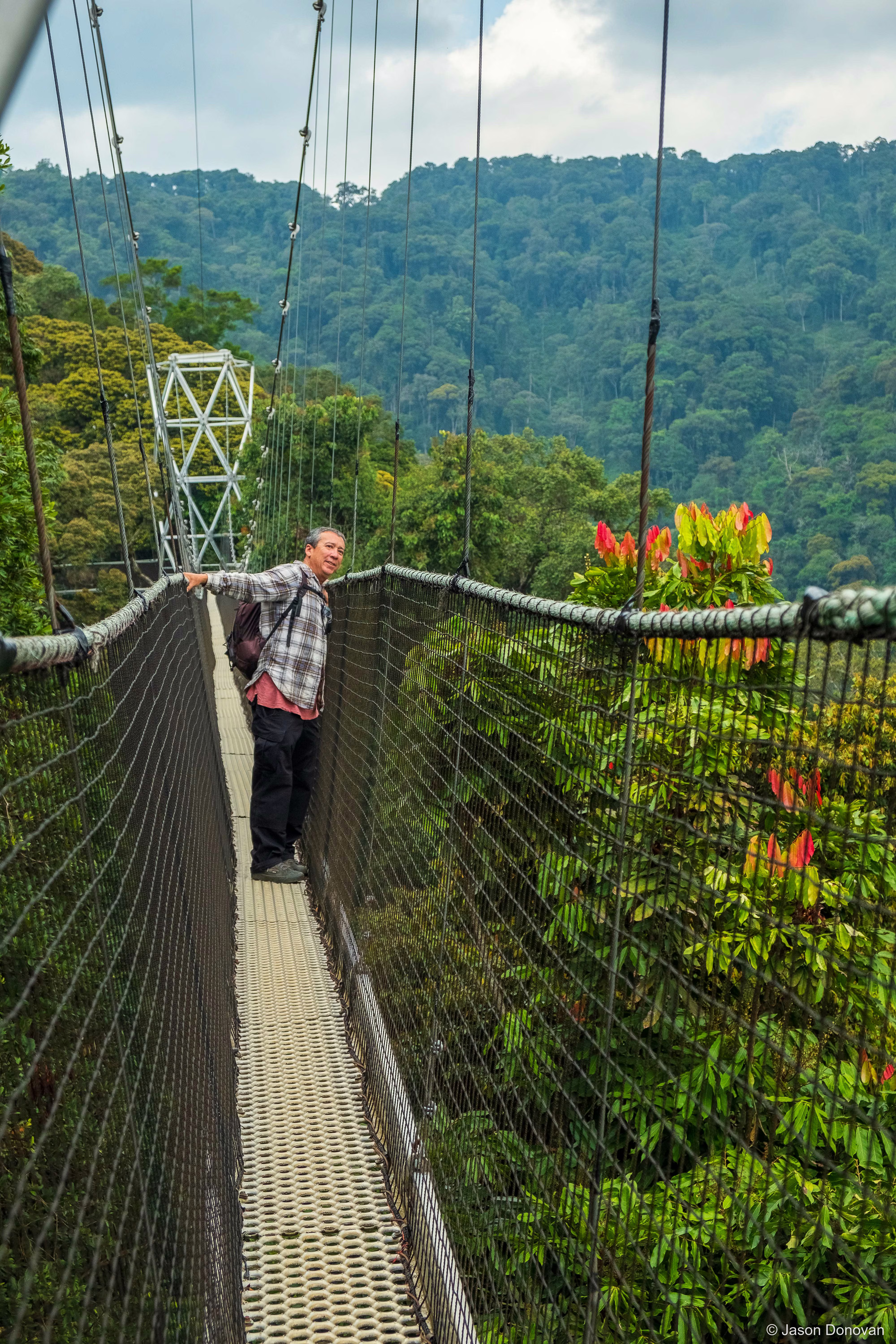 Tourist crossing bridge on Canopy Walk Rwanda photography by Jason Donovan