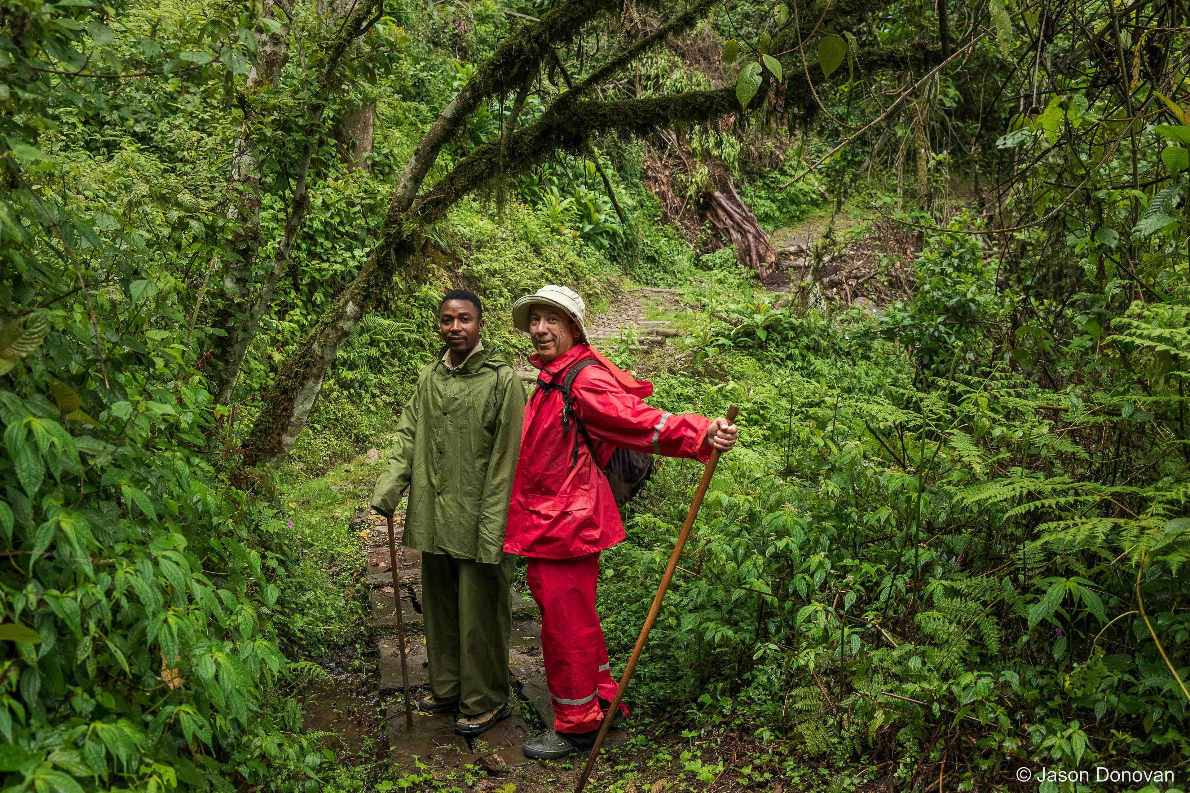 Trekking in Nyungwe forest Rwanda photography by Jason Donovan