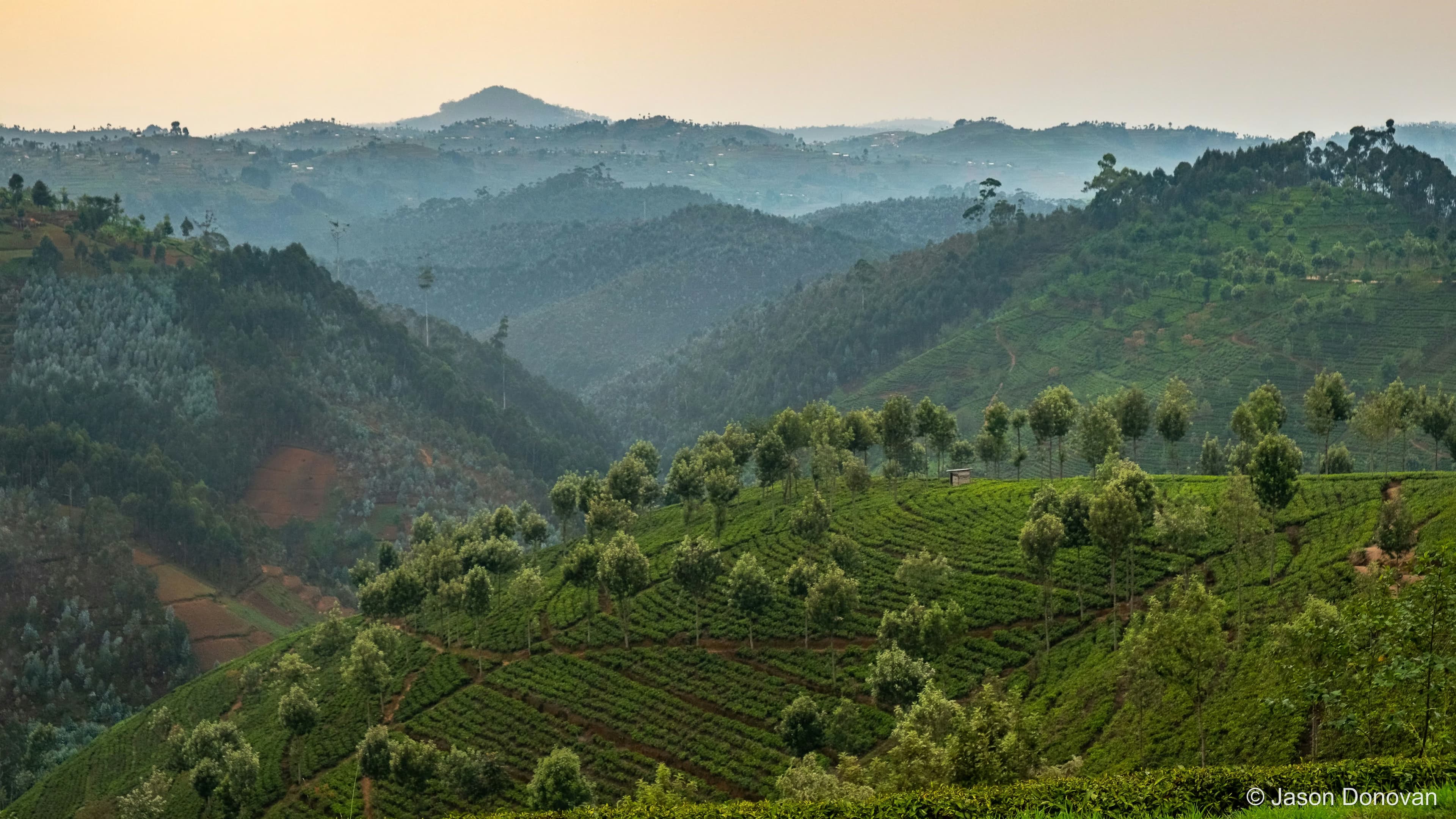 Typical hillside vista Rwanda photography by Jason Donovan