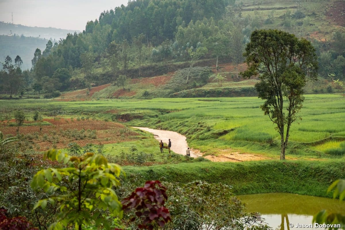 Rwanda countryside — rural landscape