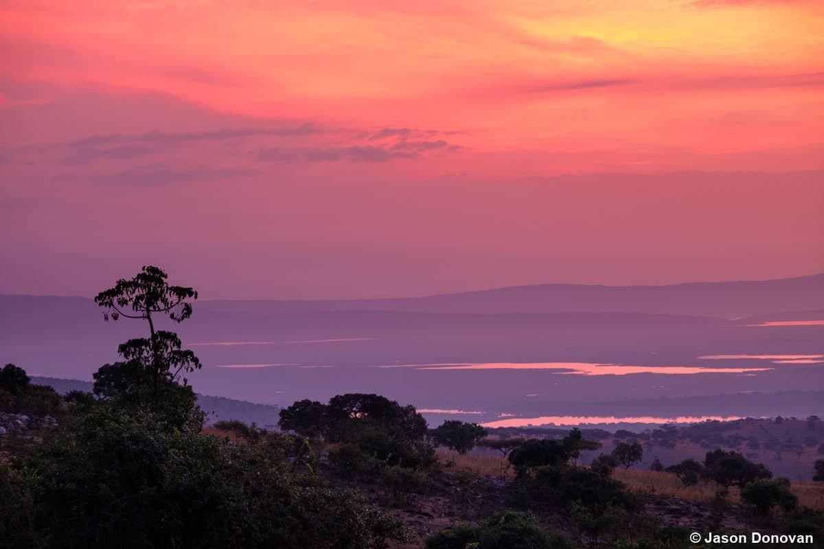 Sunset over Akagera National Park with silhouetted tree and lake, Rwanda