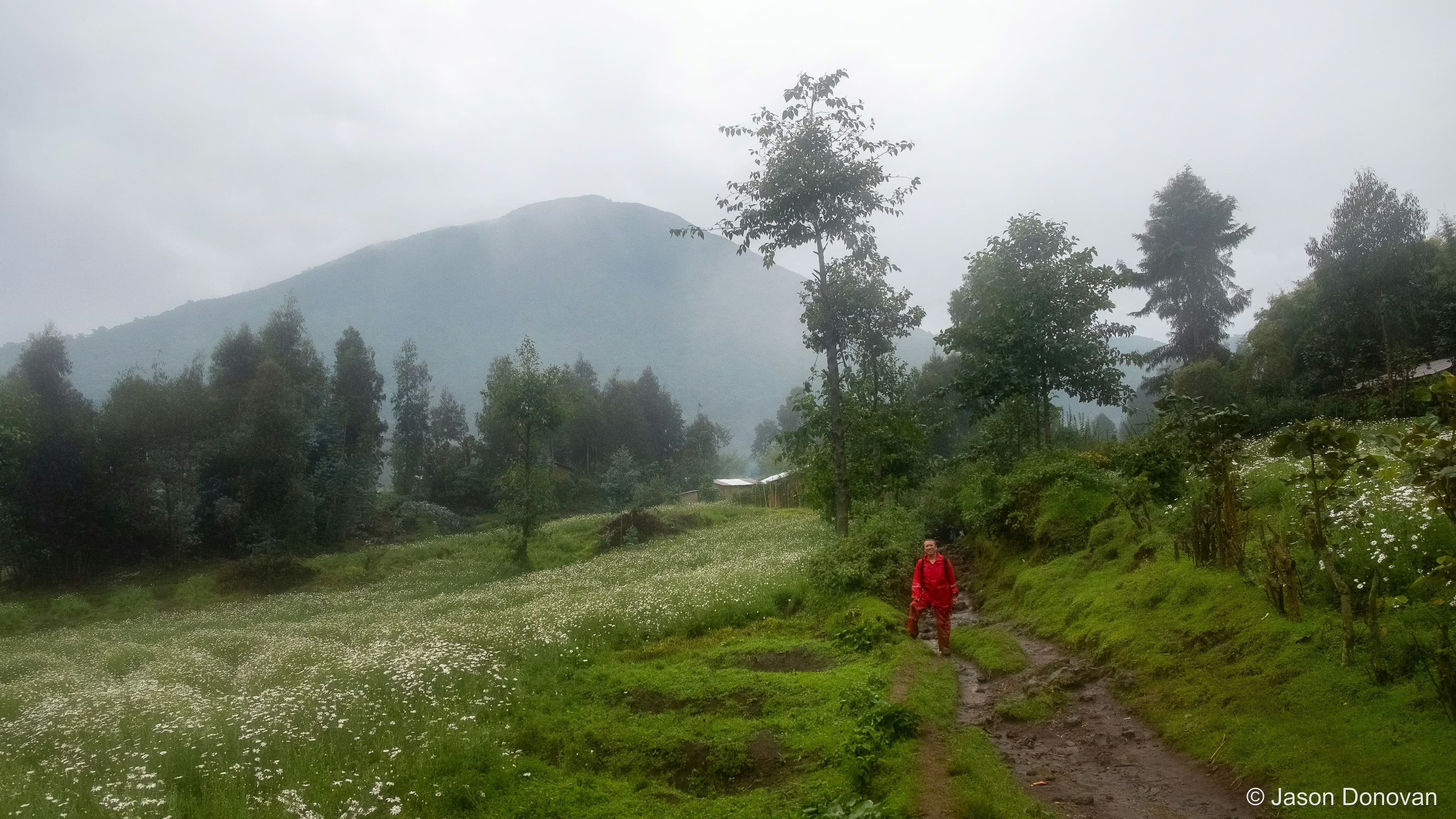 Meadows preceding mountain trekking Rwanda photography by Jason Donovan